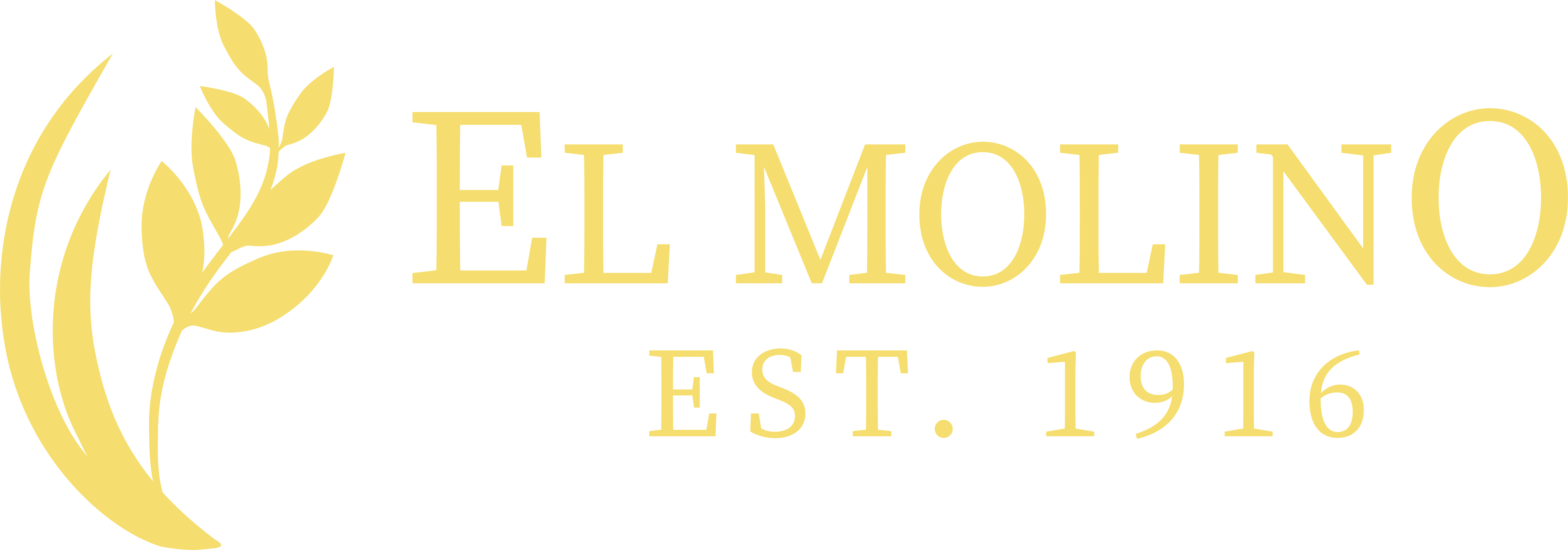 Comercial El Molino